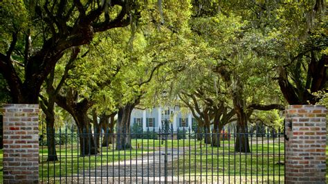 mcleod plantation photos